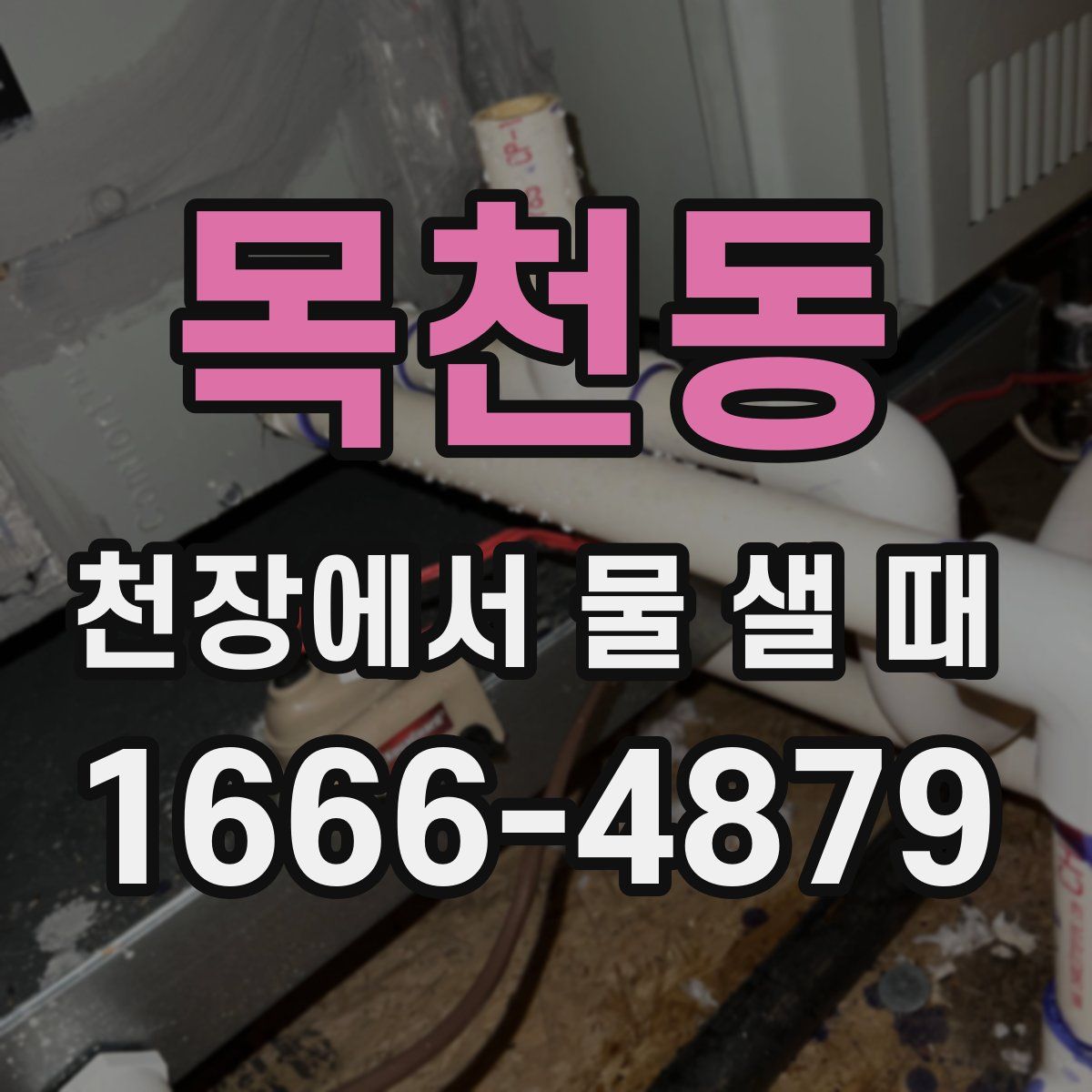 목천동 천장에서 물 샐 때