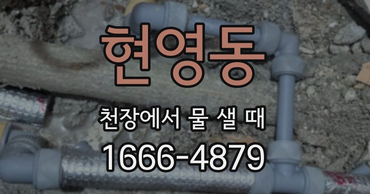 현영동 천장에서 물 샐 때