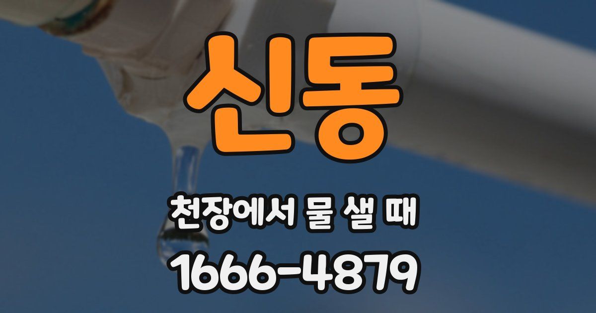 신동 천장에서 물 샐 때