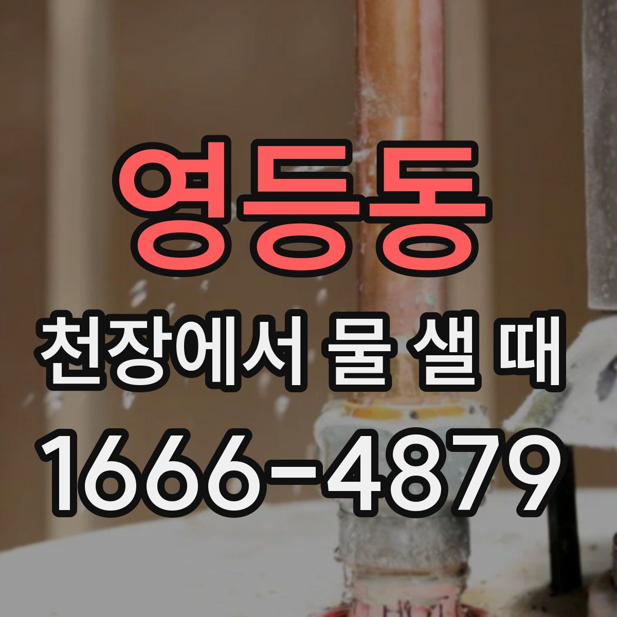 영등동 천장에서 물 샐 때