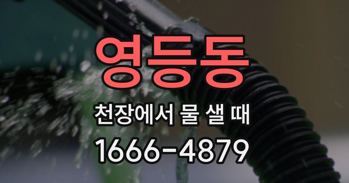 영등동 천장에서 물 샐 때