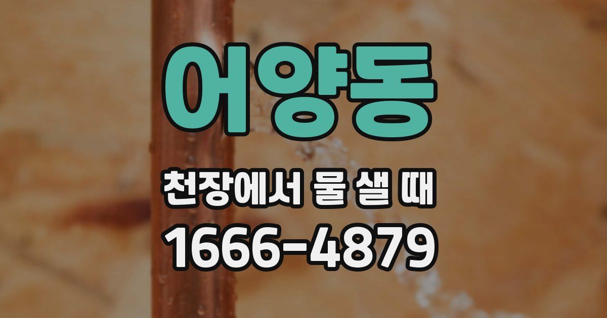 어양동 천장에서 물 샐 때