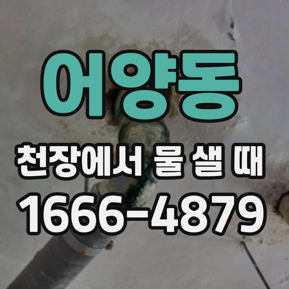 어양동 천장에서 물 샐 때