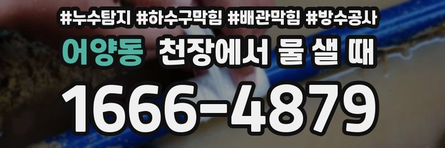 어양동 천장에서 물 샐 때