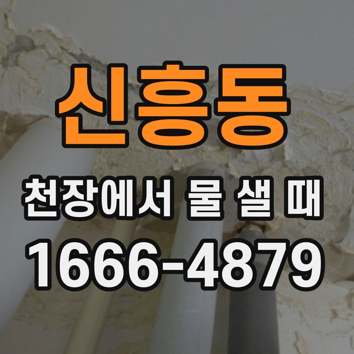 신흥동 천장에서 물 샐 때