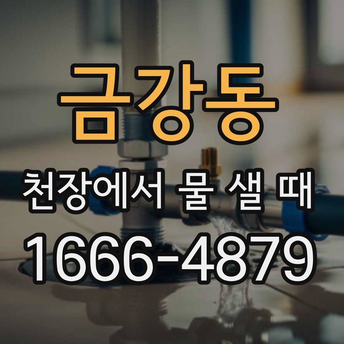 금강동 천장에서 물 샐 때