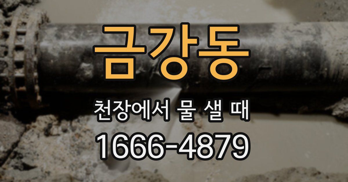 금강동 천장에서 물 샐 때