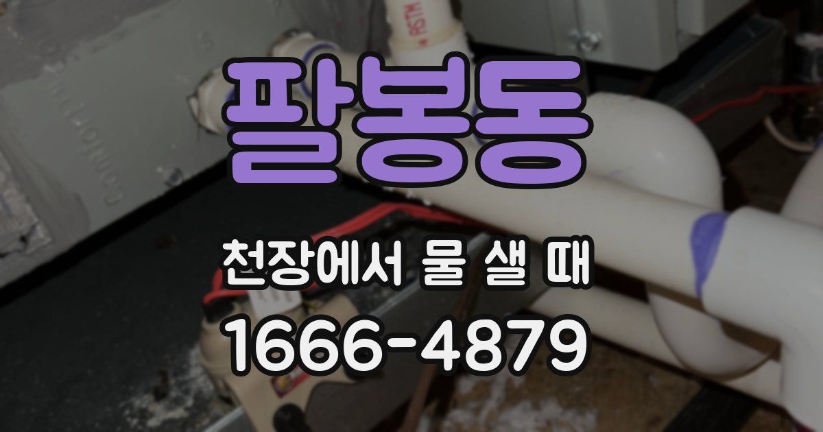 팔봉동 천장에서 물 샐 때