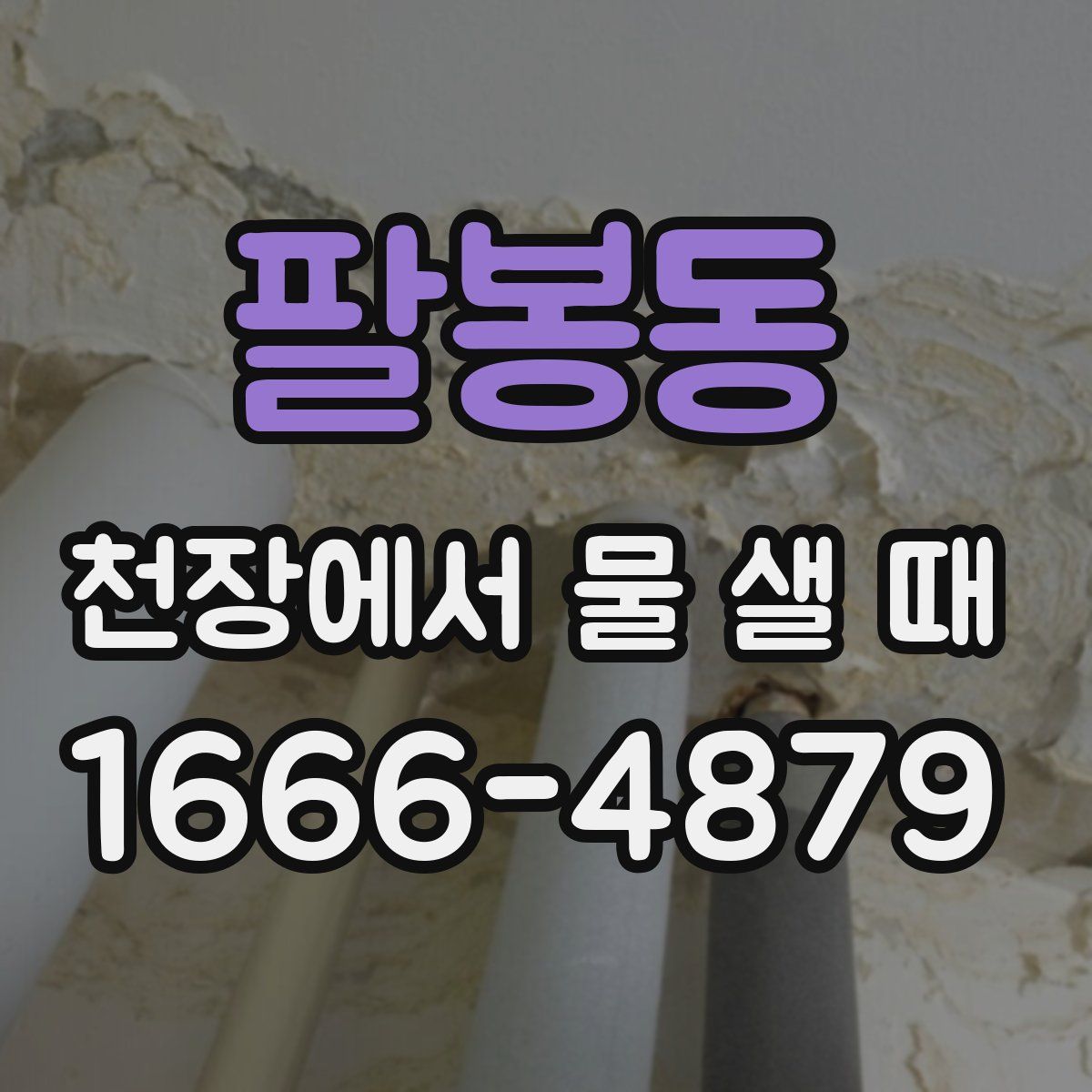 팔봉동 천장에서 물 샐 때
