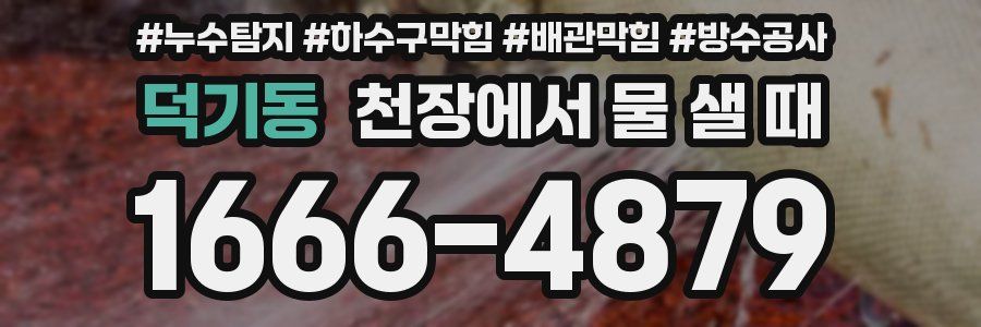 덕기동 천장에서 물 샐 때