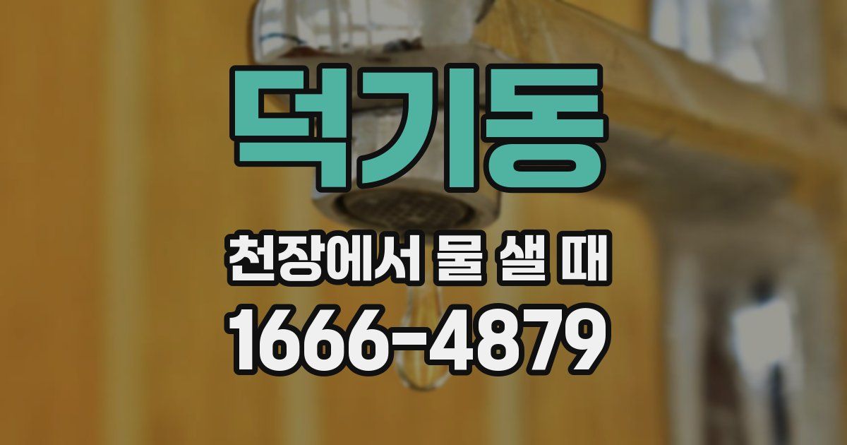 덕기동 천장에서 물 샐 때