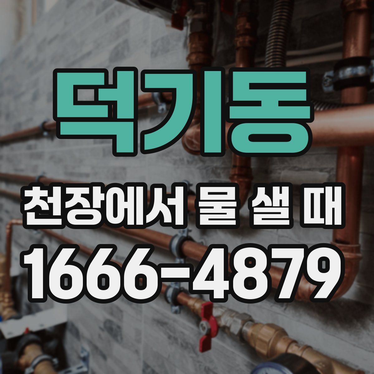 덕기동 천장에서 물 샐 때
