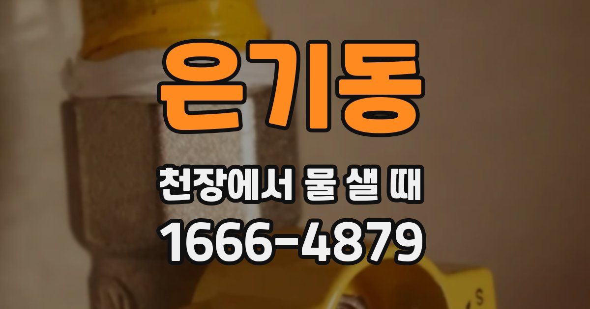 은기동 천장에서 물 샐 때