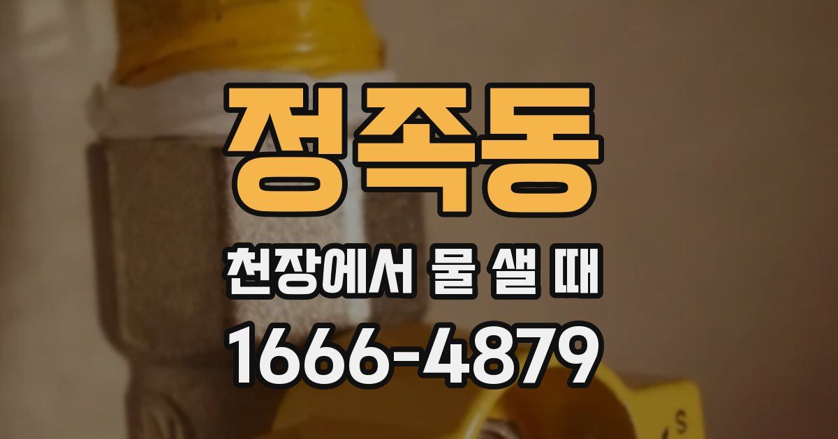 정족동 천장에서 물 샐 때