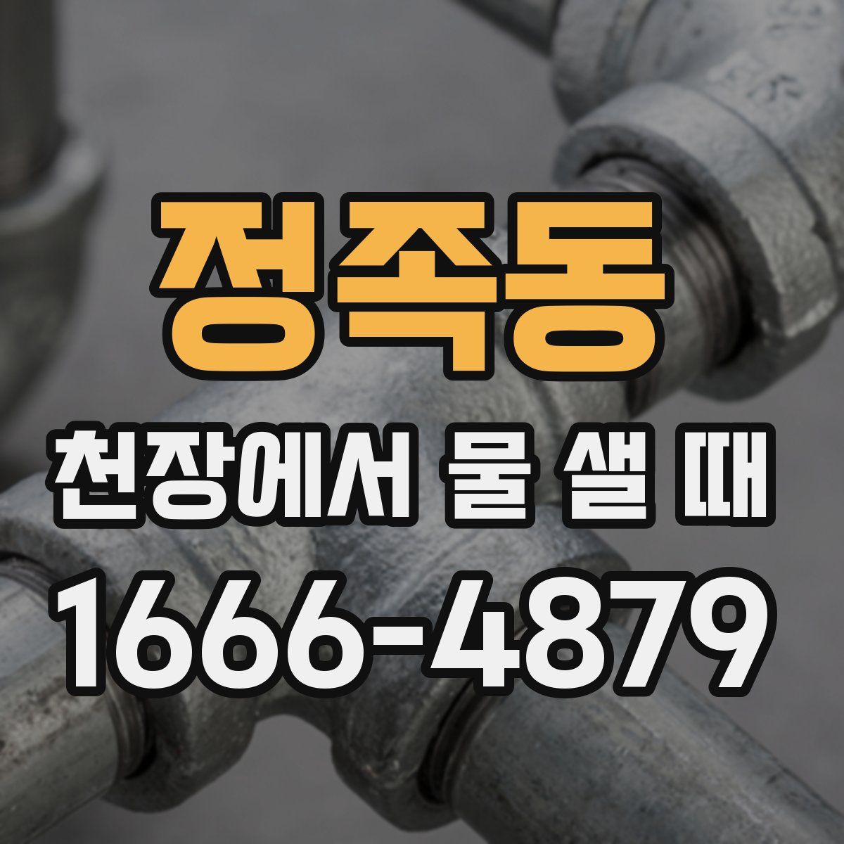 정족동 천장에서 물 샐 때