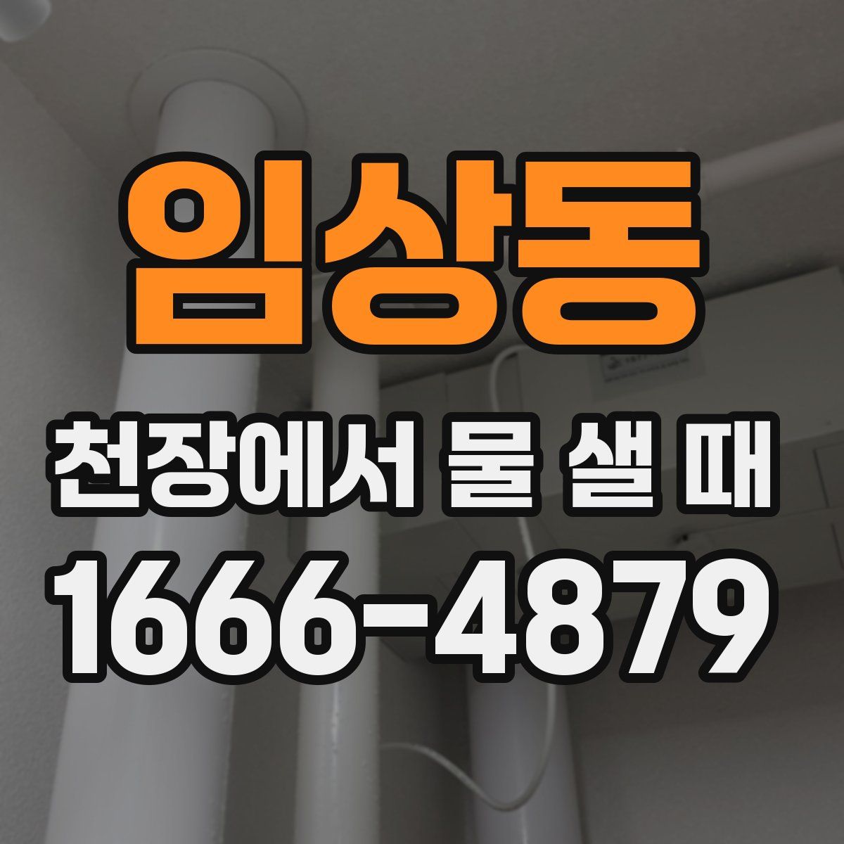 임상동 천장에서 물 샐 때