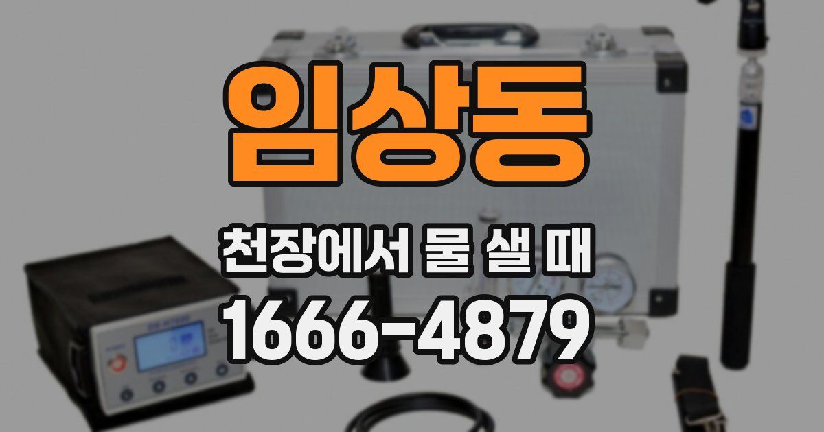 임상동 천장에서 물 샐 때