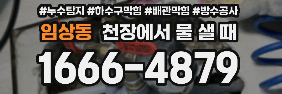 임상동 천장에서 물 샐 때