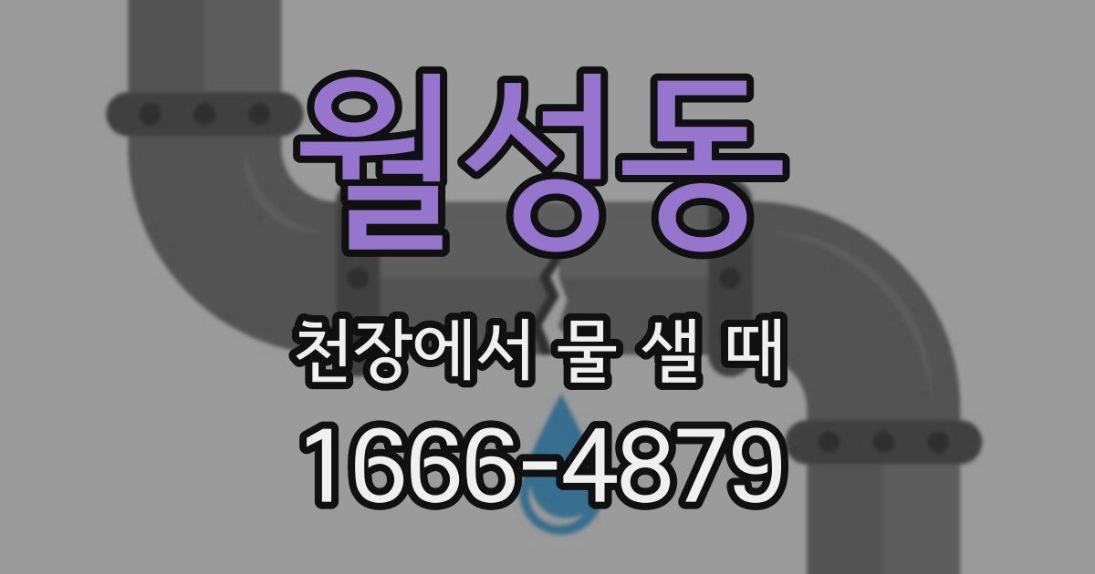월성동 천장에서 물 샐 때