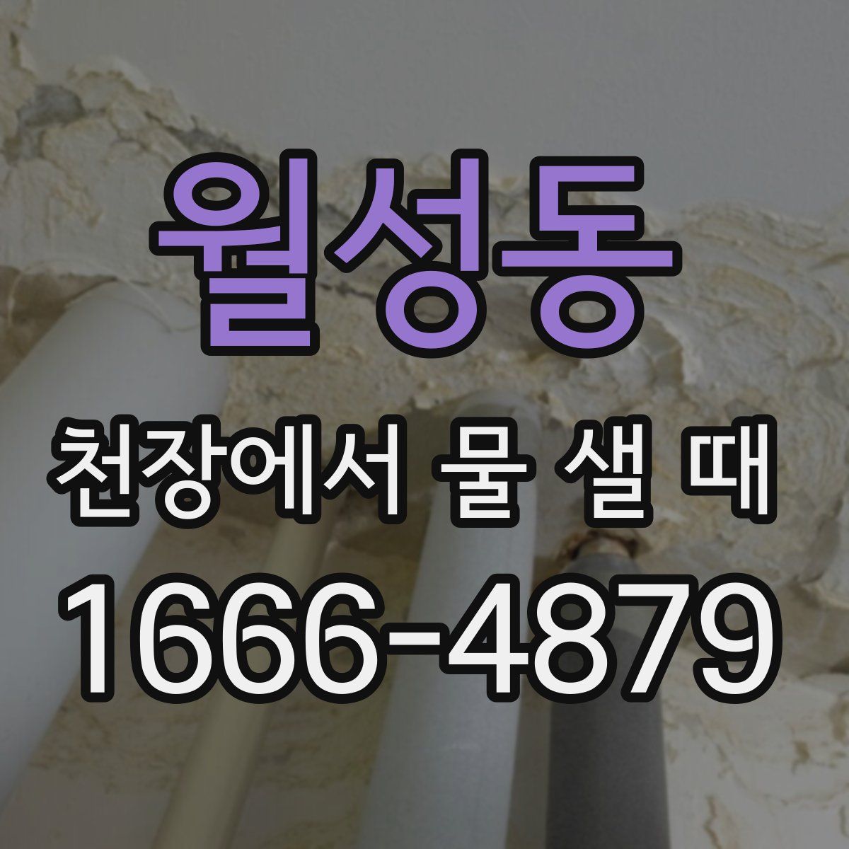 월성동 천장에서 물 샐 때