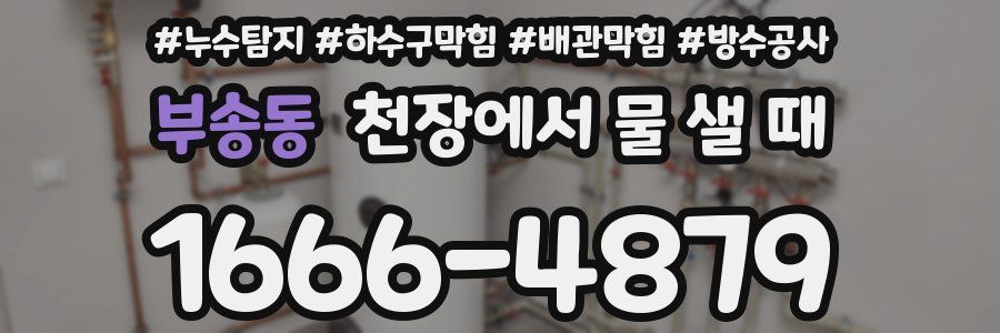부송동 천장에서 물 샐 때