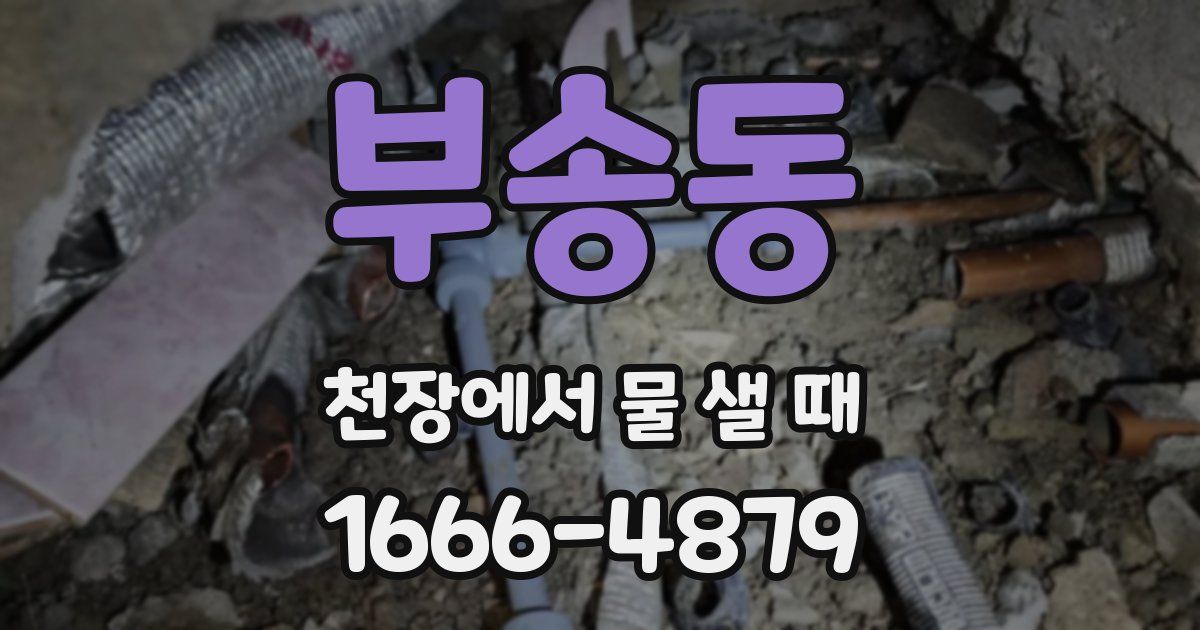 부송동 천장에서 물 샐 때