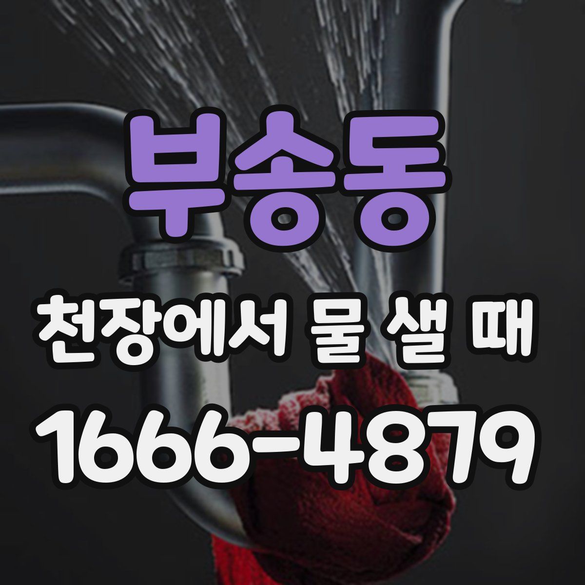 부송동 천장에서 물 샐 때