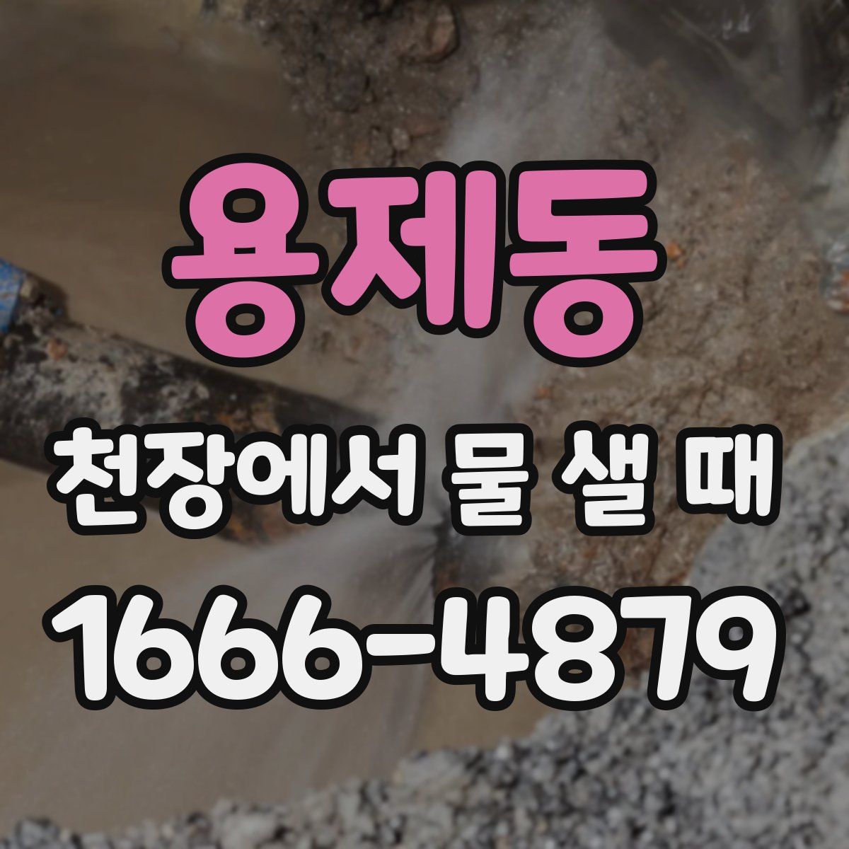 용제동 천장에서 물 샐 때