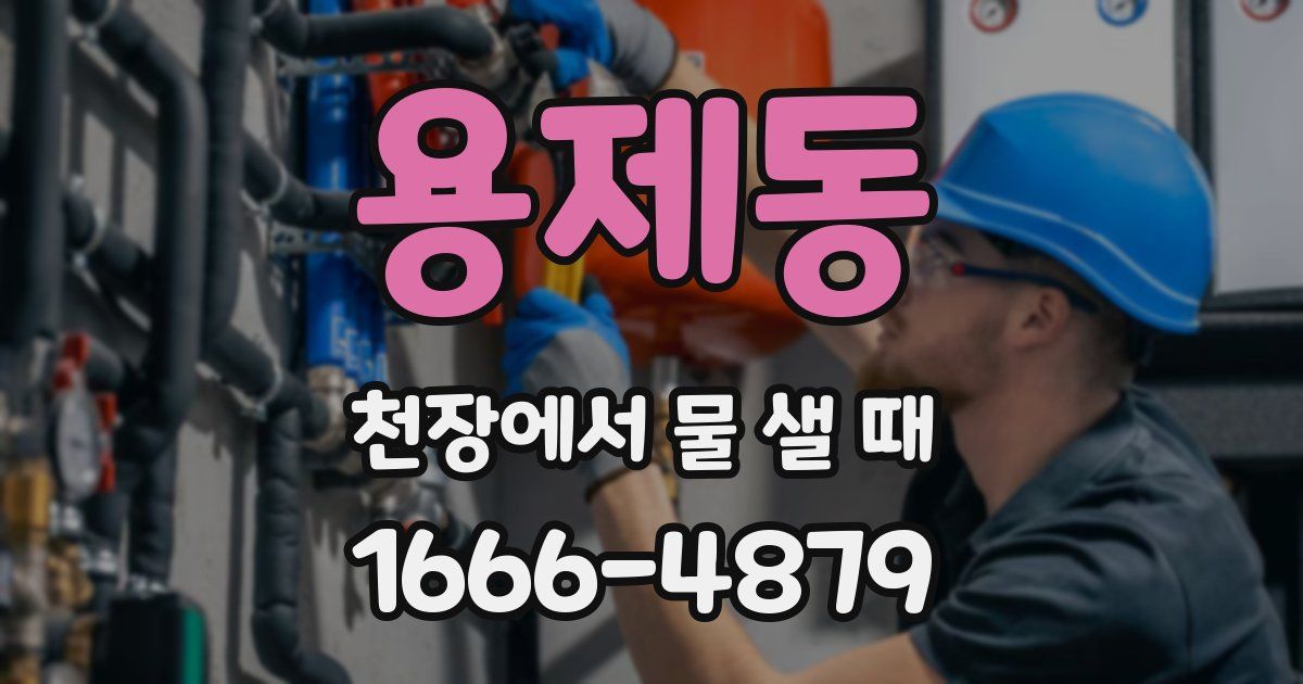 용제동 천장에서 물 샐 때