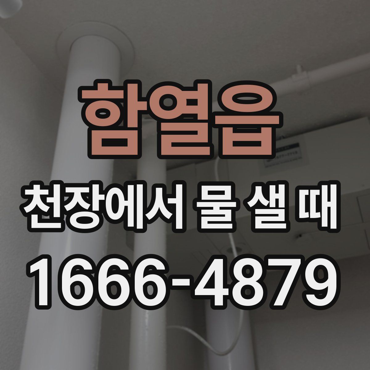 함열읍 천장에서 물 샐 때