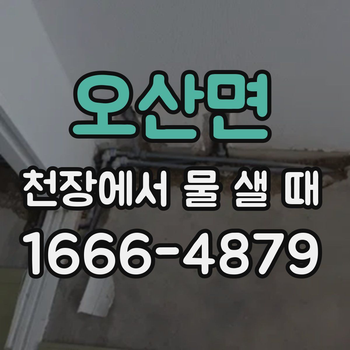 오산면 천장에서 물 샐 때