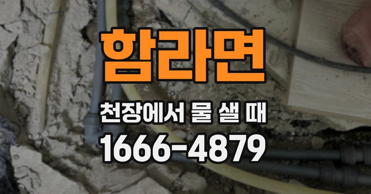 함라면 천장에서 물 샐 때