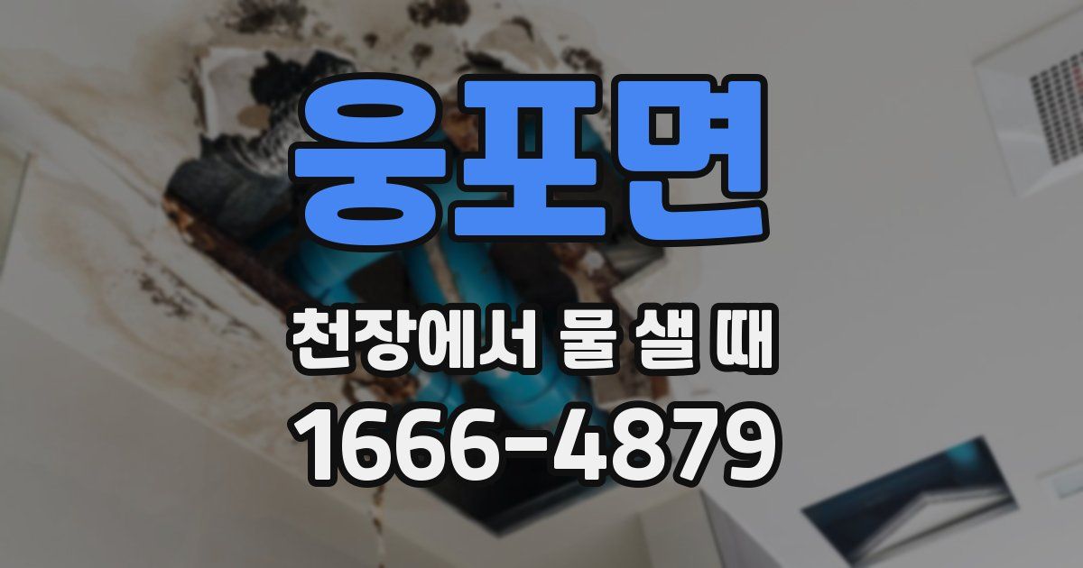 웅포면 천장에서 물 샐 때