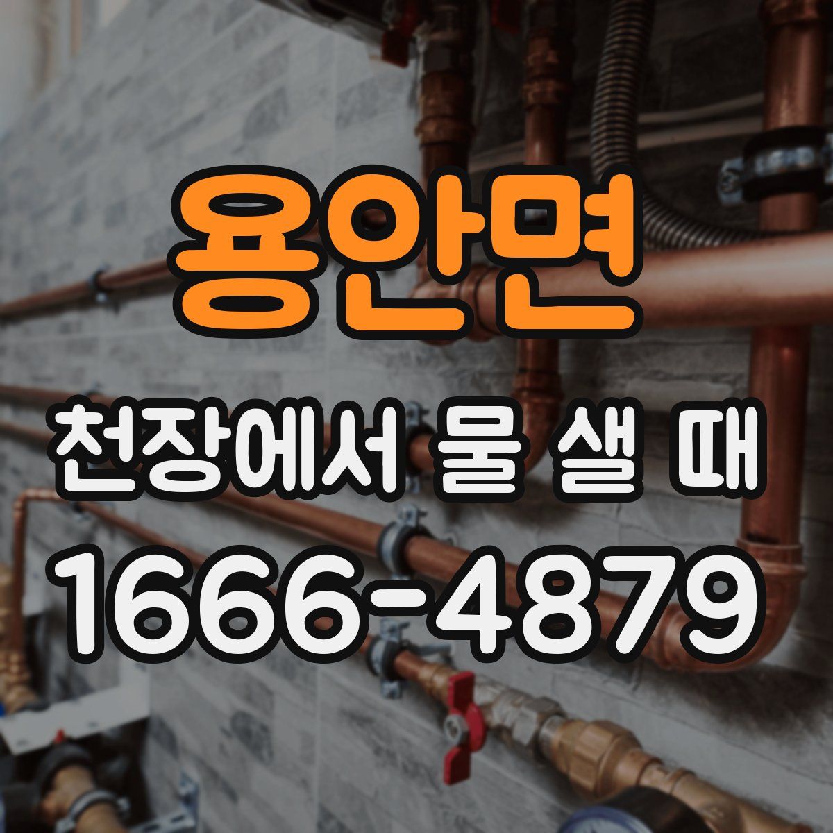 용안면 천장에서 물 샐 때