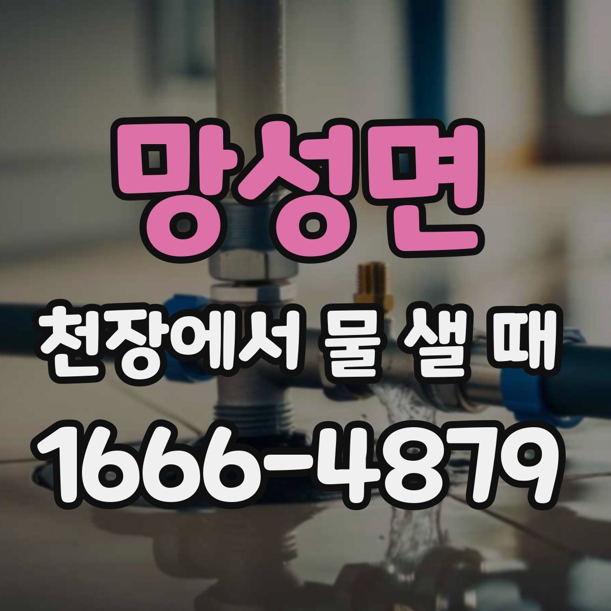 망성면 천장에서 물 샐 때