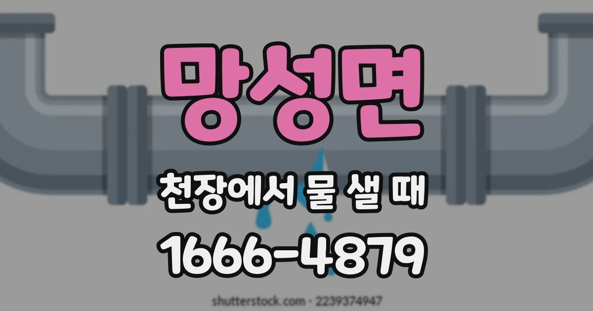 망성면 천장에서 물 샐 때