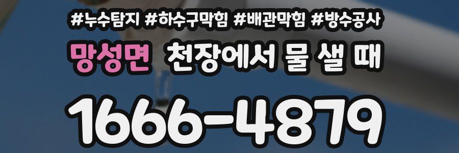 망성면 천장에서 물 샐 때
