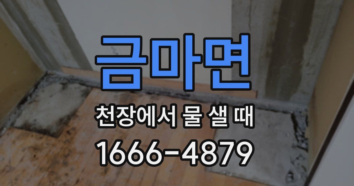금마면 천장에서 물 샐 때
