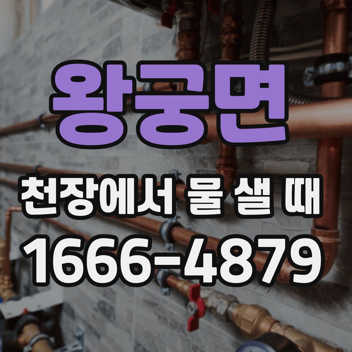 왕궁면 천장에서 물 샐 때