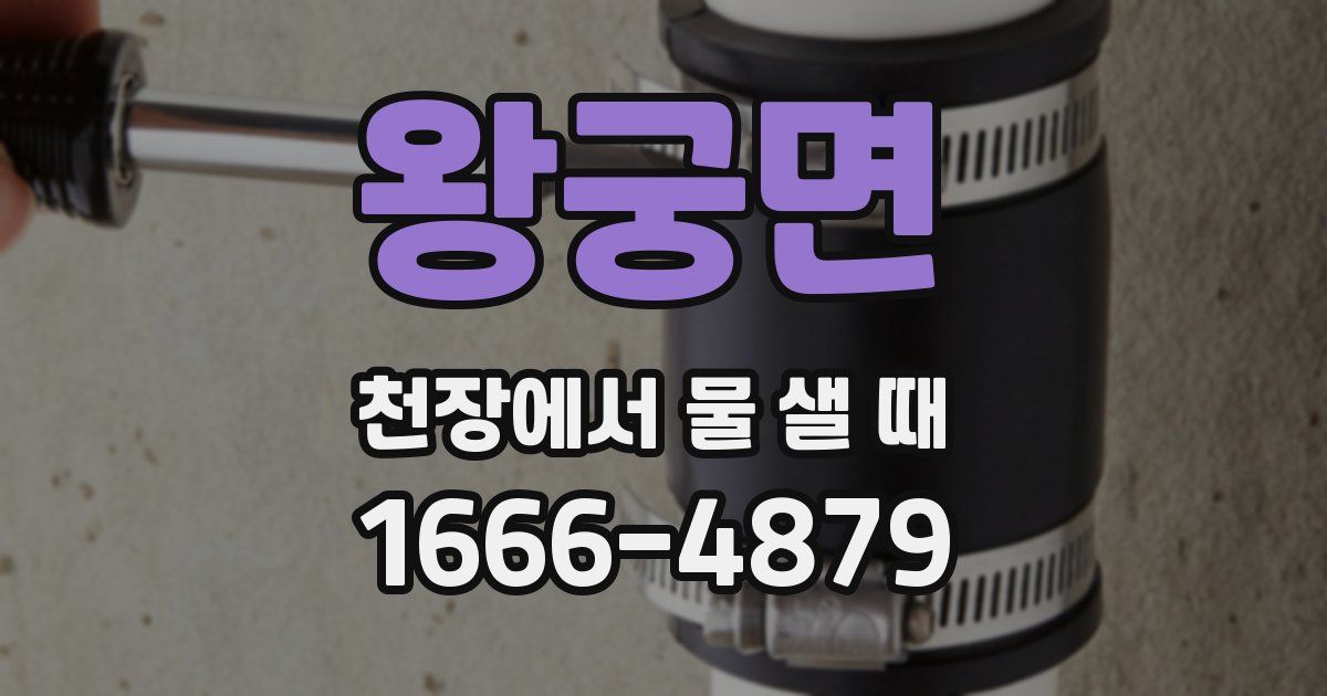 왕궁면 천장에서 물 샐 때