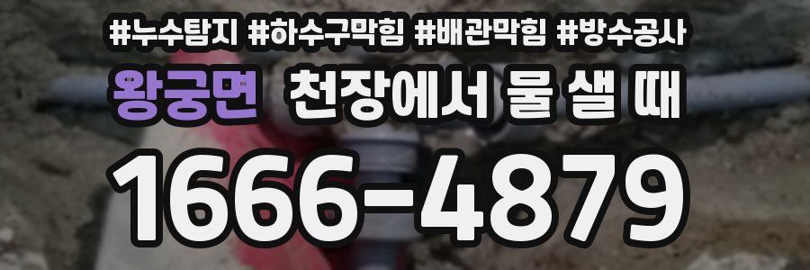 왕궁면 천장에서 물 샐 때