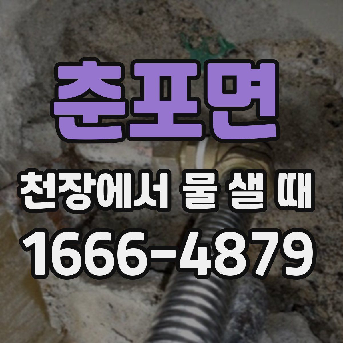 춘포면 천장에서 물 샐 때