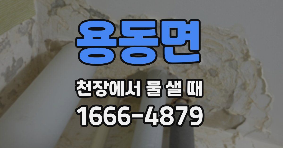 용동면 천장에서 물 샐 때