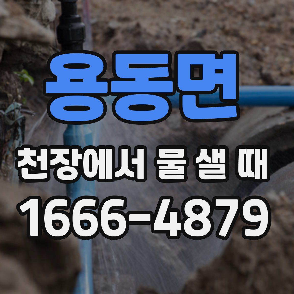 용동면 천장에서 물 샐 때