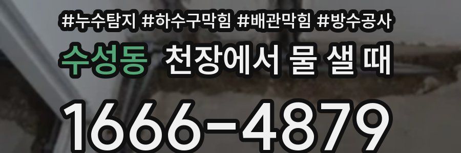 수성동 천장에서 물 샐 때