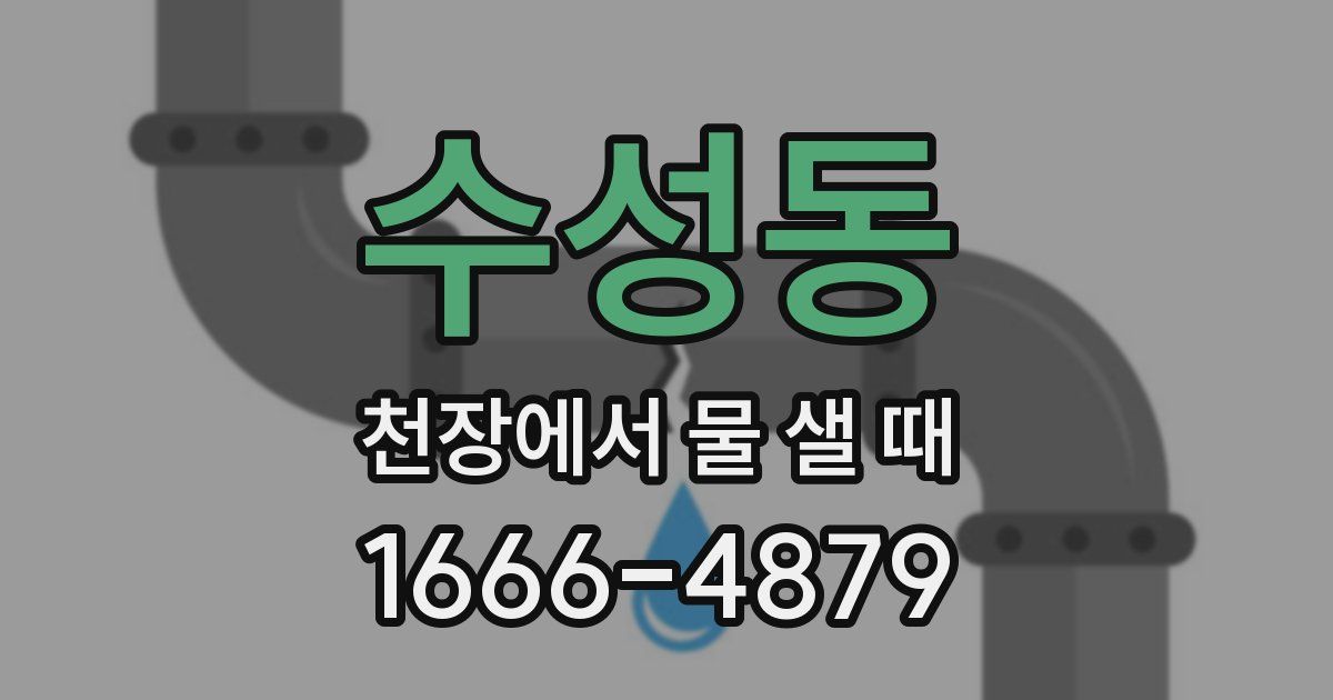 수성동 천장에서 물 샐 때