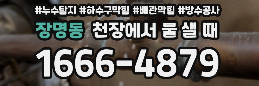 장명동 천장에서 물 샐 때