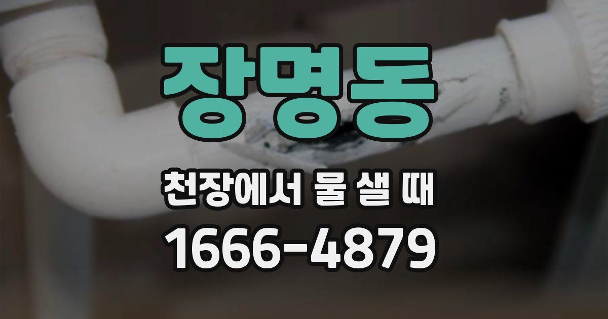 장명동 천장에서 물 샐 때