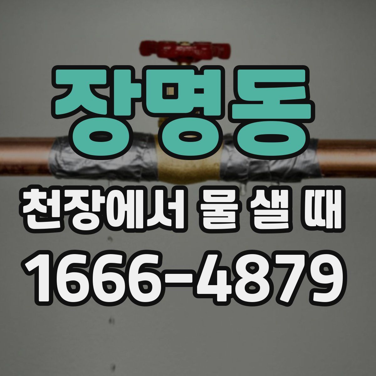 장명동 천장에서 물 샐 때