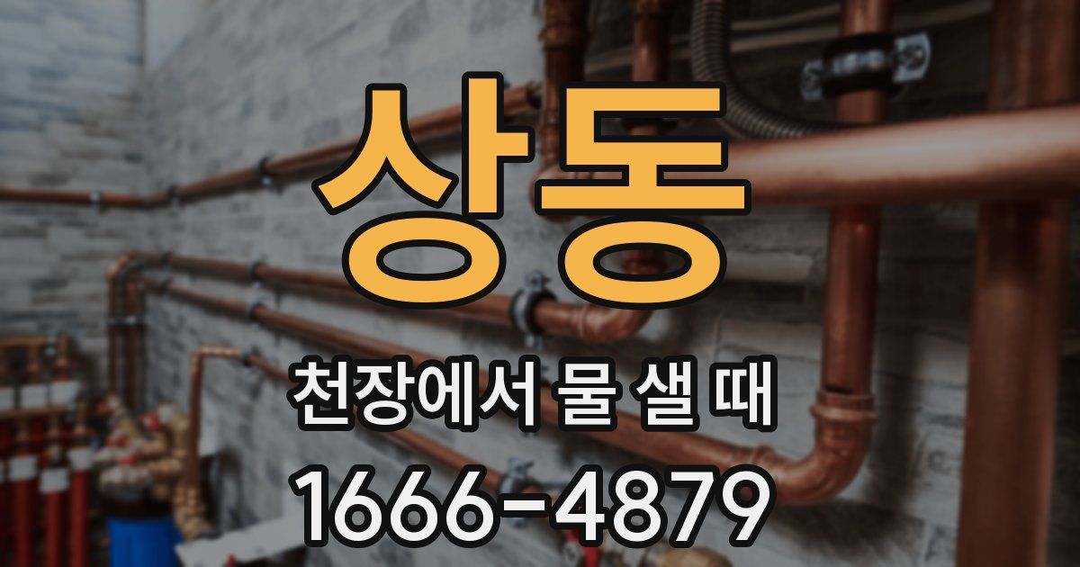 상동 천장에서 물 샐 때